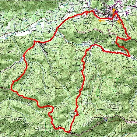 La Petite Chataigne De Collobrières Exterior foto