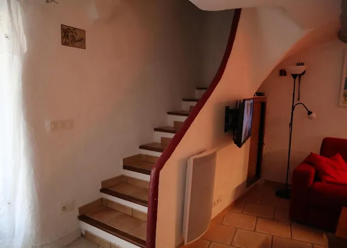 La petite châtaigne de Collobrières