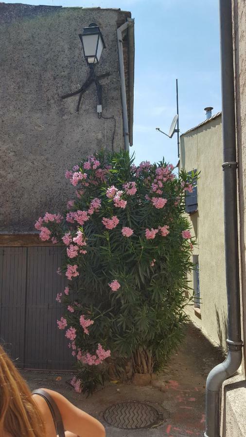 La Petite Châtaigne De * Collobrières